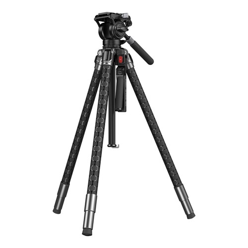 Smallrig treppiede - smallrig,