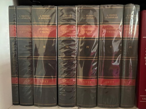 Trattato anatomia umana - di,