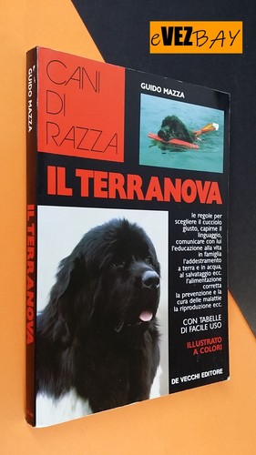 Terranova cani razza - cani,
