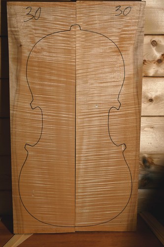 Legno per violoncello - , acero