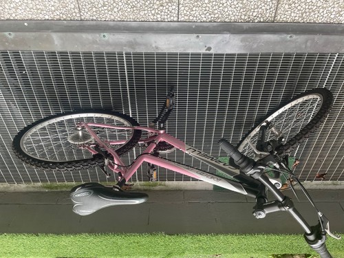 Nuova bicicletta carnielli - nuova,