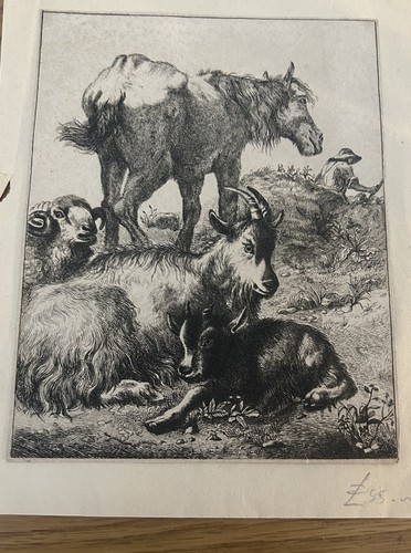Vintage etching 1759 francesco - vintage,