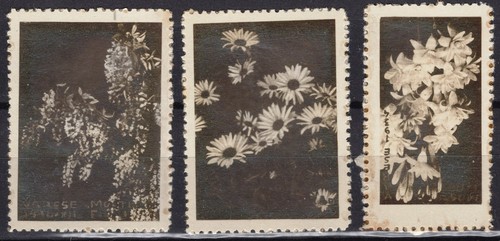 Er5191 mostra dei fiori varese - er5191,