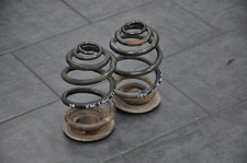 Molle Posteriore BMW E46