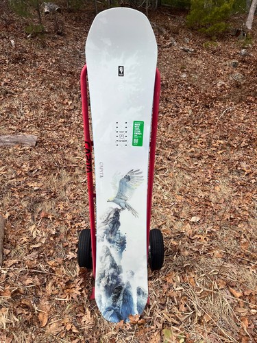 Capita birds feather - of, a