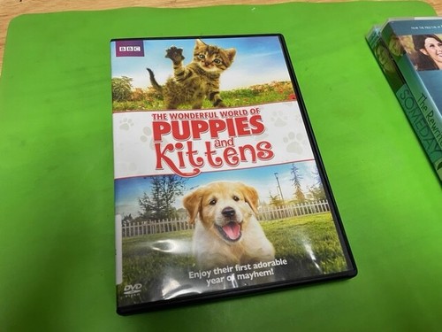 The wonderful world puppies - of,