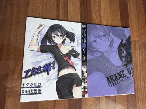 Akame kill rarissima - ga,