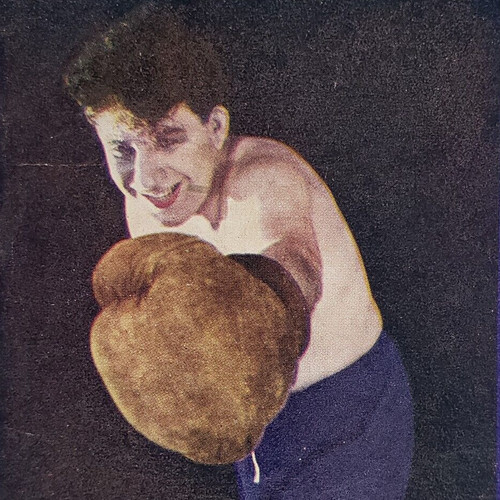 Boxer long reach - boxer, boxe