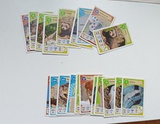 Set 20 Card Avventura Nella Natura