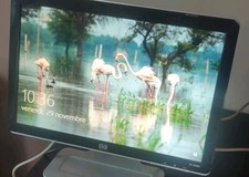 MONITOR LCD 19" HP W1907V  IN OTTIME CONDIZIONI CON INGRESSO AUDIO