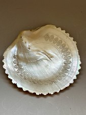 ANTICA CONCHIGLIA CIOTOLA