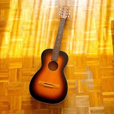 Herman Carlson Levin Model 124