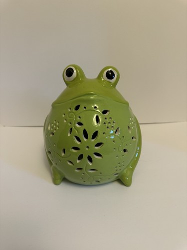 Rana illuminata