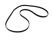 Cinghia di trasmissione per