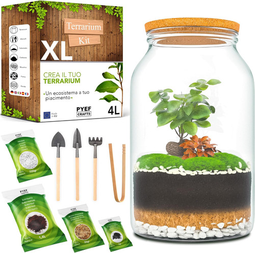 Pyef crafts terrarium kit - pyef, xl