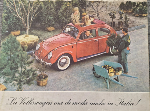 Volkswagen maggiolino - volkswagen,