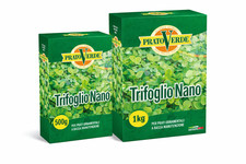 Prato Verde TRIFOGLIO NANO