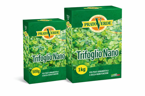 Prato verde trifoglio nano - prato,