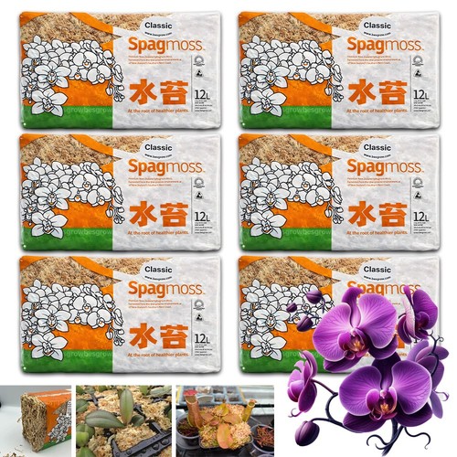 6pcs besgrow muschio - besgrow,