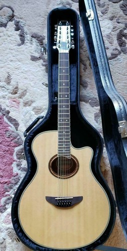 Chitarra elettrica acustica