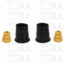 KIT 2 TAMPONI + PARAPOLVERE