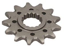 Pignone JT Racing 13 denti