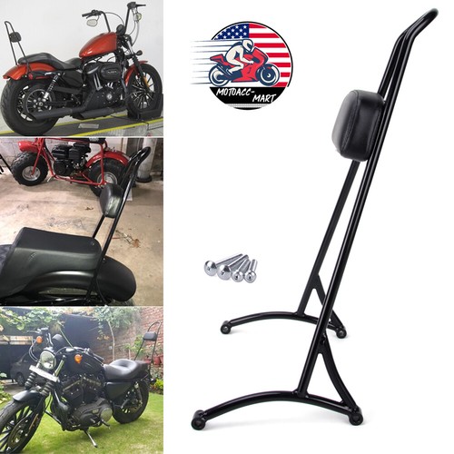 Detachable passenger sissy bar - passenger,