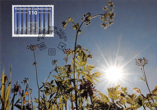 Carta massima fdc - massima,