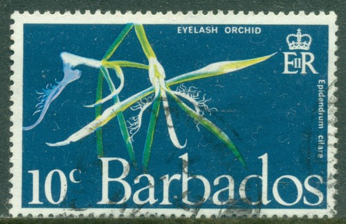 Barbados 1961 epidendrum - ,