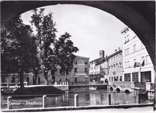Treviso pescheria viagg - treviso,