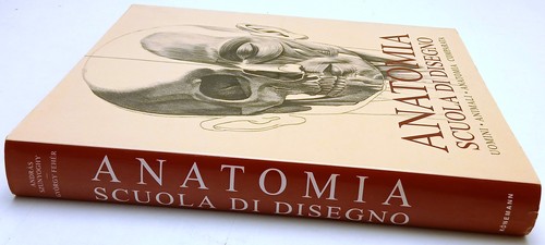 Anatomia scuola disegno - anatomia, di