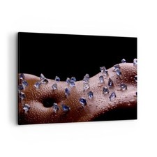 Quadro su Tela 120x80cm Corpo