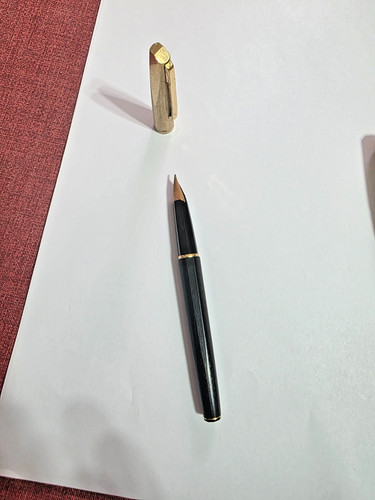 Penna stilografica waterman - penna,