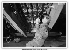 Aereo De Havilland Zanzara