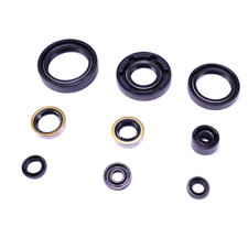 Set Di Guarnizioni Del Motore