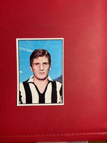 Figurina calciatori panini - figurina,