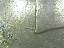 100 LIRE 1979 FAO ERRORE -