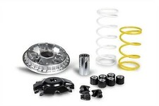 5118776 variatore malossi - 5118776,