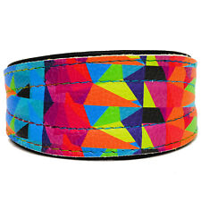 Levriero Lurcher Whippet Vera Pelle Collare per Cane Cucciolo Multicolore