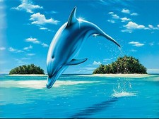 Ravensburger - Fresh Feeling