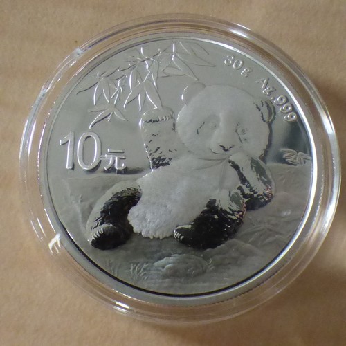 China yuan panda 2020 - panda,