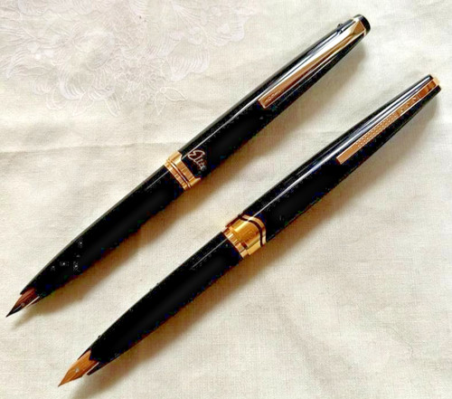 Set penne stilografiche - set,