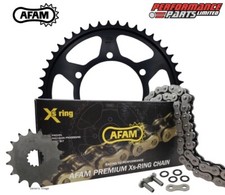 Kit catena e pignone X-Ring