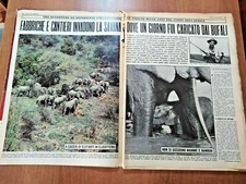 clipping / ritaglio 1965 FOLCO QUILICI: REPORTAGE DAL CUORE DELL'AFRICA 