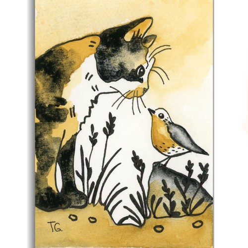 Gatto uccellino aceo - gatto,