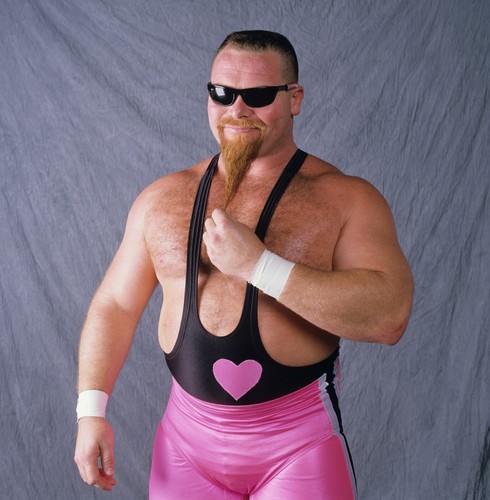Wrestling superstars jim - wrestling,