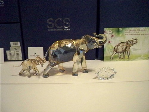 Swarovski scs cinta - cinta, young
