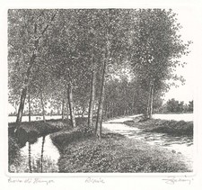 ZALIANI AGOSTINO " RISAIE "