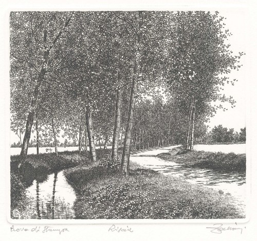 Zaliani agostino risaie - agostino,