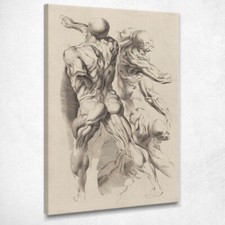 Studio Di Due Uomini Nudi Peter Paul Rubens, ppr198 quadro stampato su tela